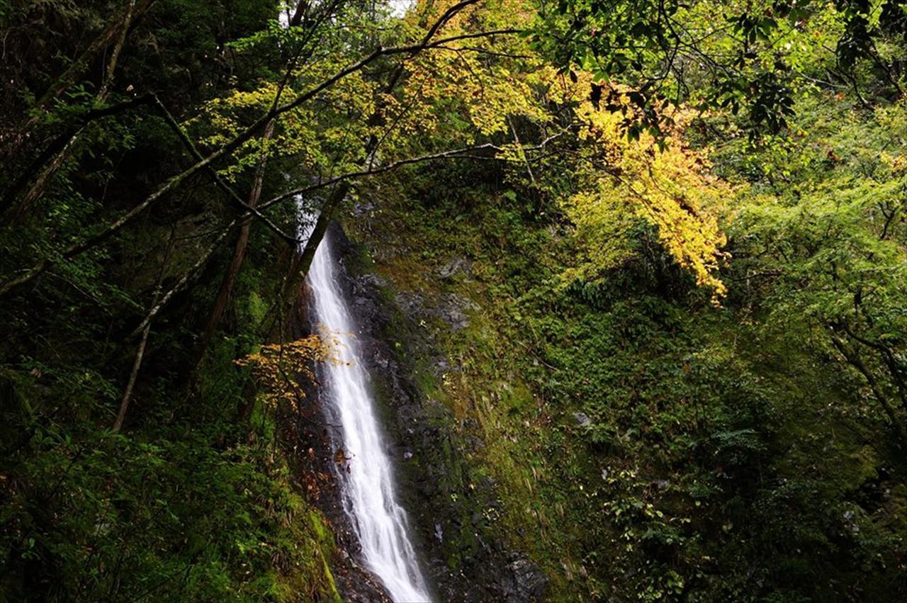 Yadori Onsen Iyashinoyu Villa Hashimoto  Екстериор снимка