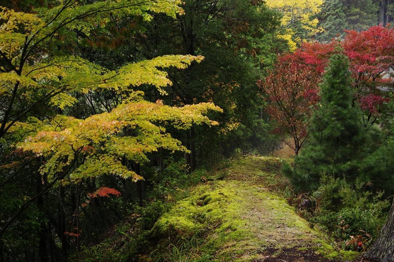 Yadori Onsen Iyashinoyu Villa Hashimoto  Екстериор снимка