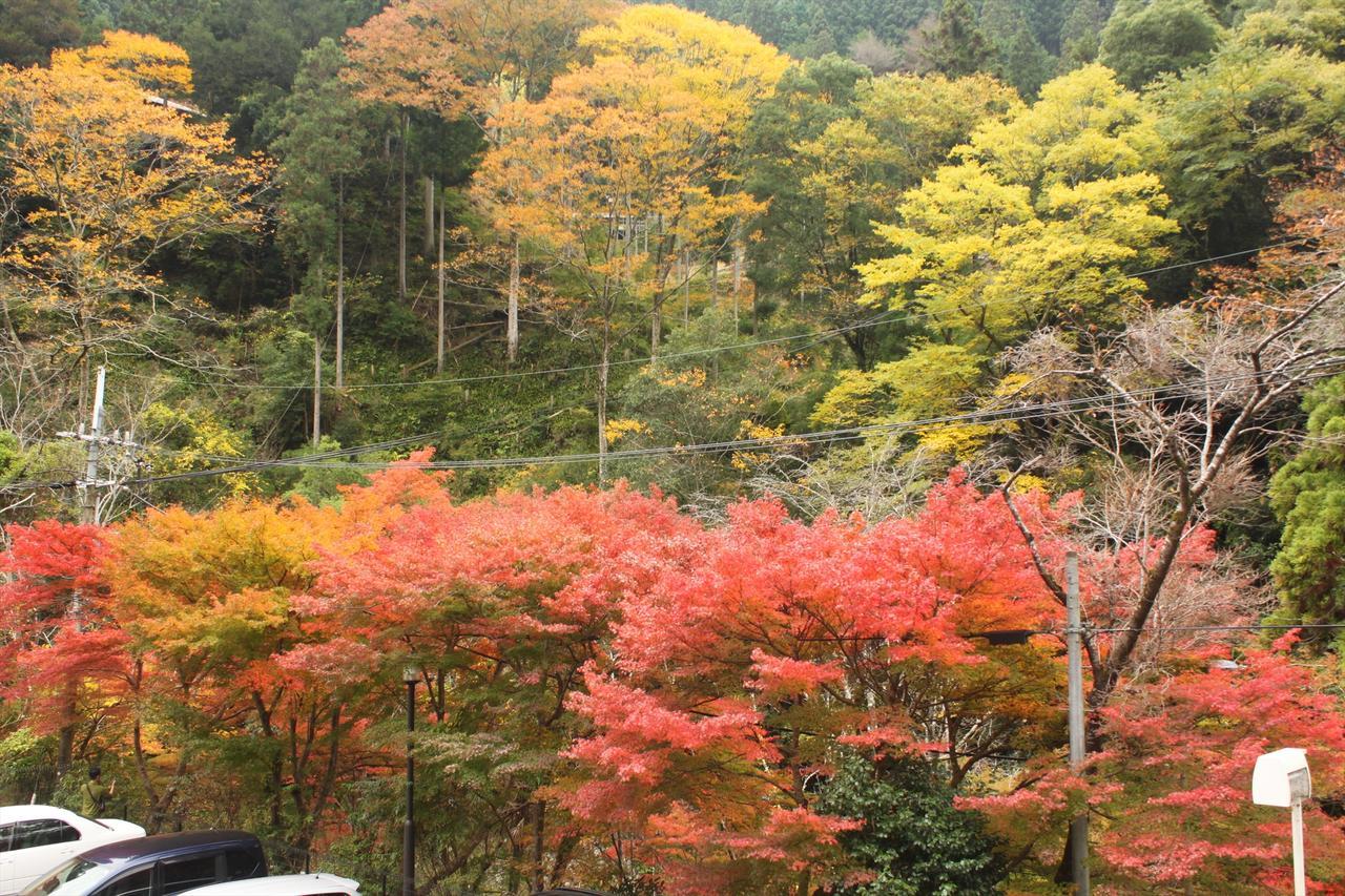 Yadori Onsen Iyashinoyu Villa Hashimoto  Екстериор снимка