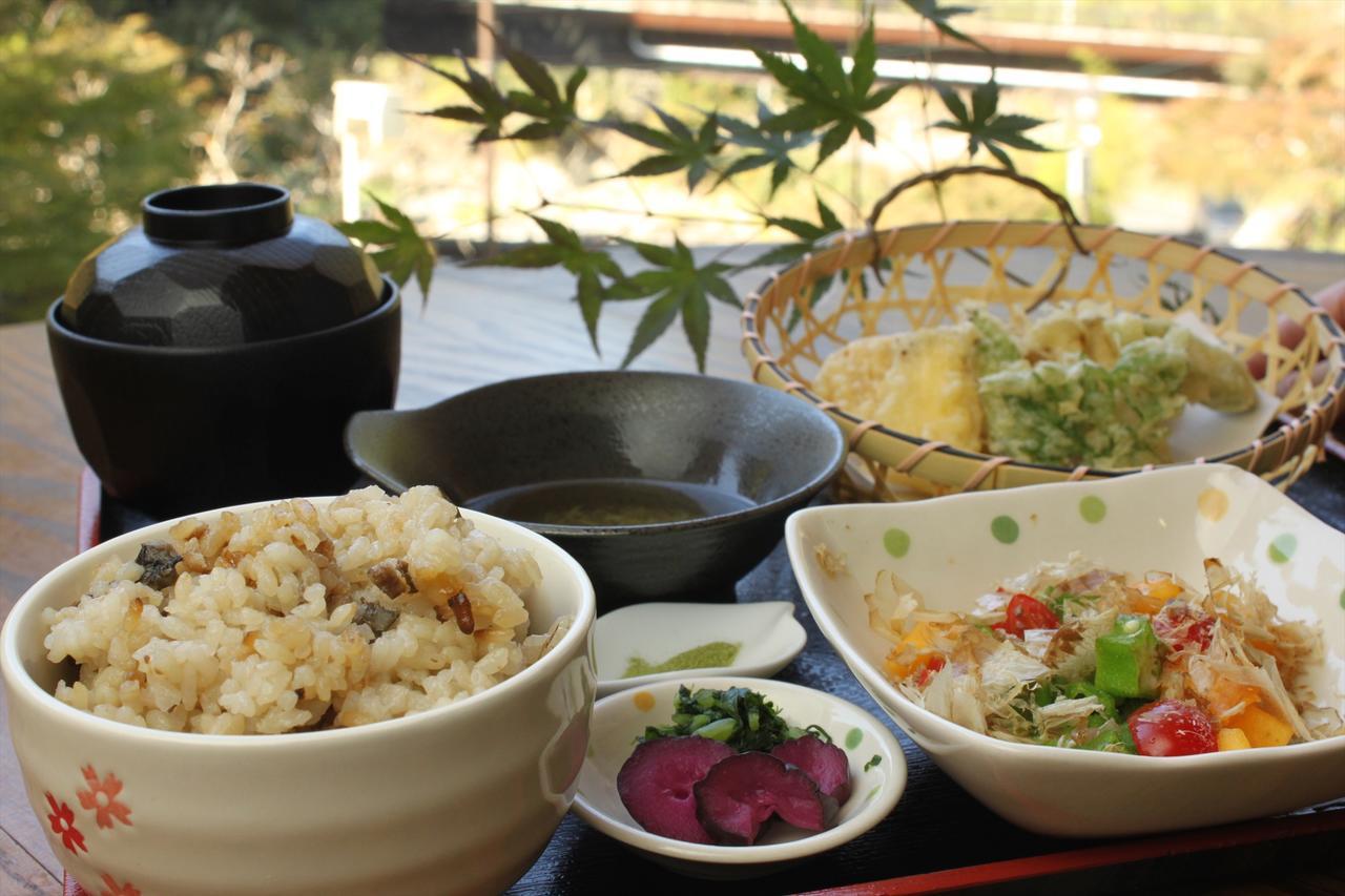 Yadori Onsen Iyashinoyu Villa Hashimoto  Екстериор снимка
